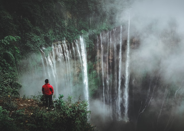 Quels sont les meilleurs endroits pour faire du trekking dans la jungle ?