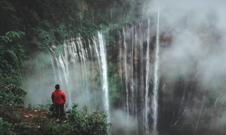 Quels sont les meilleurs endroits pour faire du trekking dans la jungle ?