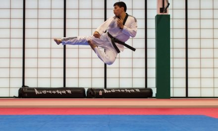 Plongée approfondie dans les principes essentiels du Taekwondo