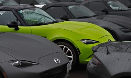 Voiture d&rsquo;occasion : quelles marques choisir pour un achat malin ?