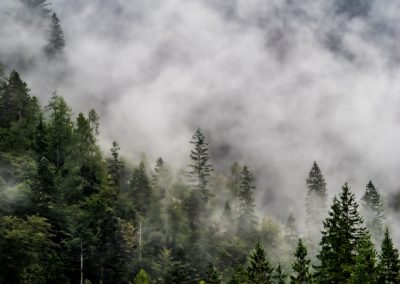 Comment l’Office Français de la Biodiversité agit pour sauvegarder nos écosystèmes