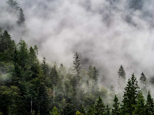 Comment l’Office Français de la Biodiversité agit pour sauvegarder nos écosystèmes