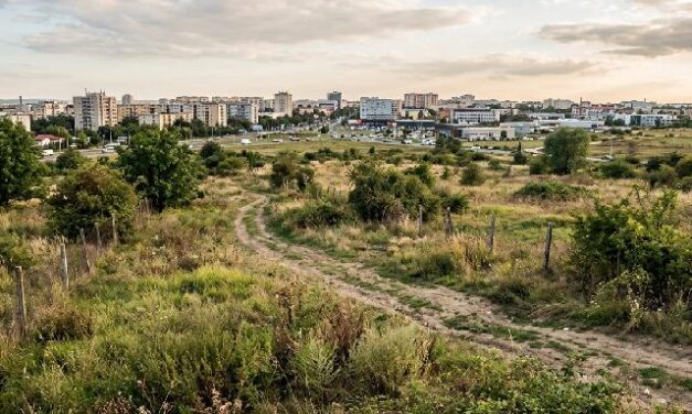 Terrain périurbain non constructible : bon plan ou vrai risque ?